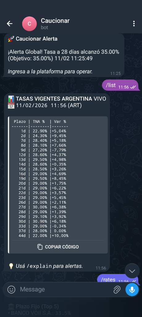 Bot Chat